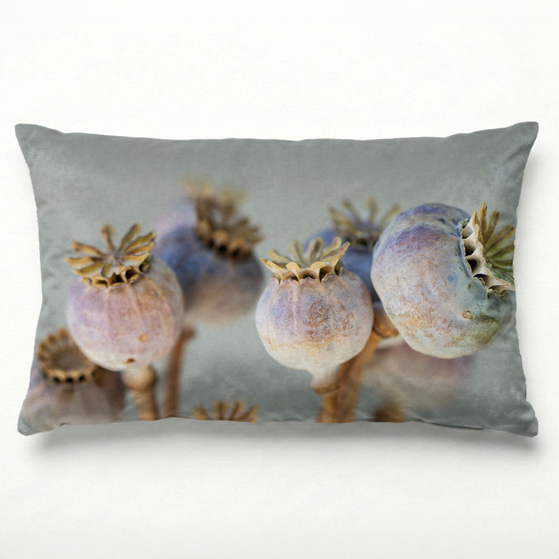 NATURAL PURPLE GIANT POPPY SEED BUNCH ON GREY SCATTER CUSHION