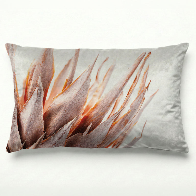 DRIED RUSTIC PINK PROTEA SCATTER CUSHION