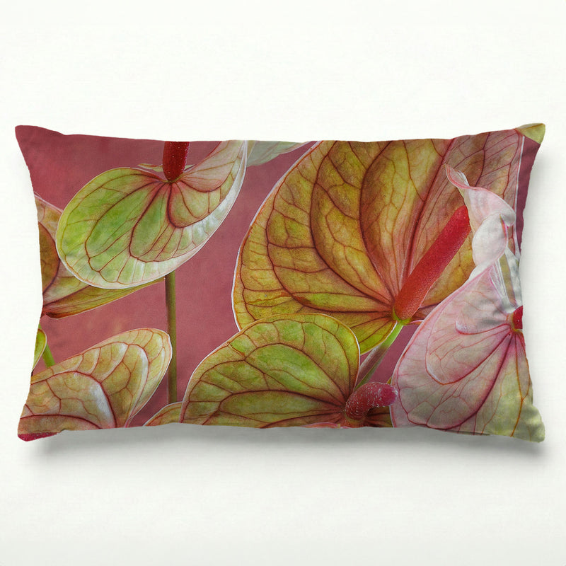 ANTHURIUM LIGHT PINK AND GREEN ON MAGENTA SCATTER CUSHION