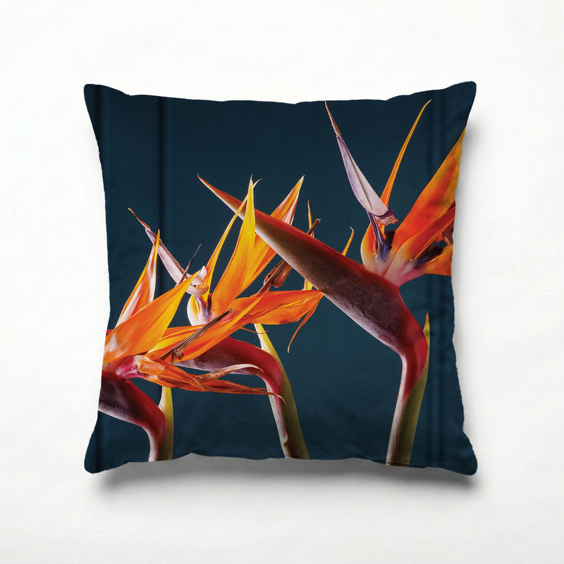 STRELITZIA TRIO ON RICH BLUE SCATTER CUSHION
