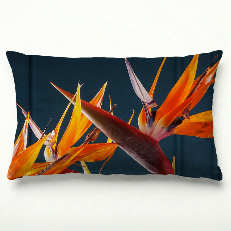 STRELITZIA TRIO ON RICH BLUE SCATTER CUSHION