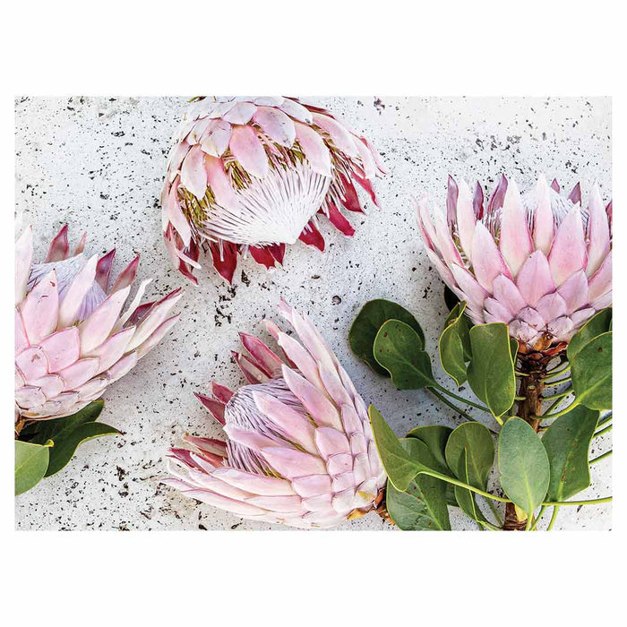 FLORAL PINK PROTEAS ON WHITE TEA TRAY