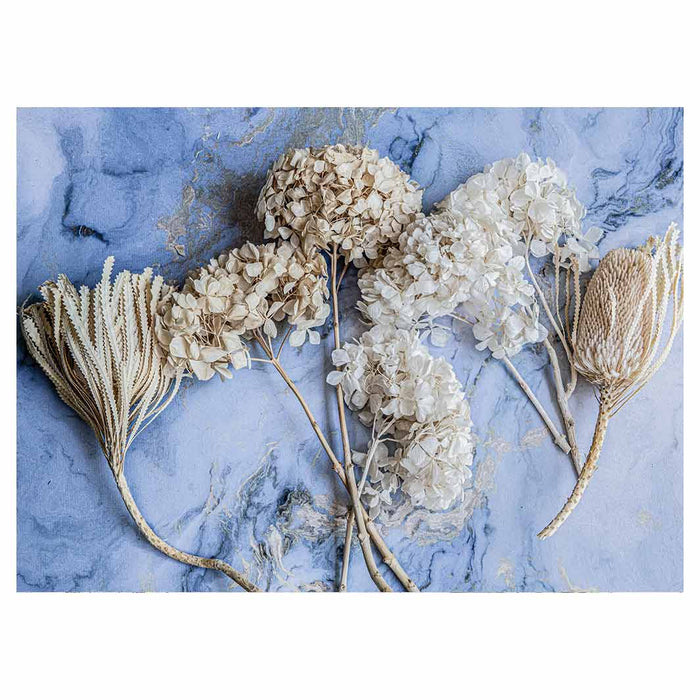 FLORAL CREAM BLEACHED HYDRANGEAS ON BLUE TEA TRAY