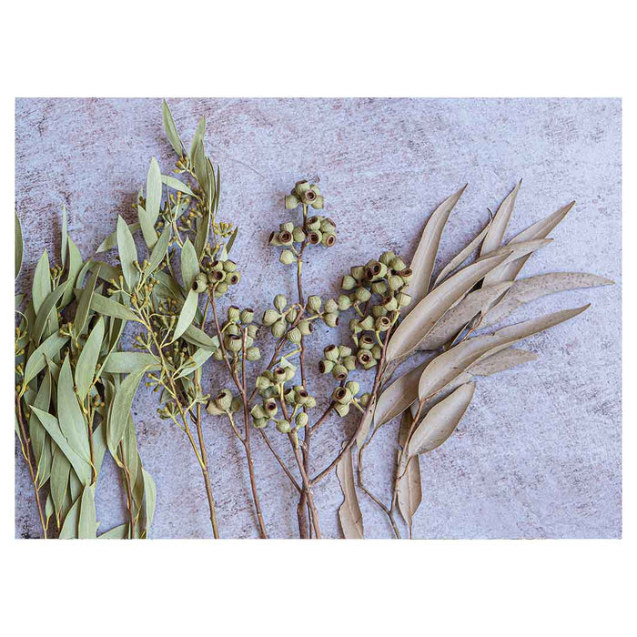 LEAVES BROWN NATURAL AMBERNUTS WITH GREEN FOLIAGE TEA TRAY