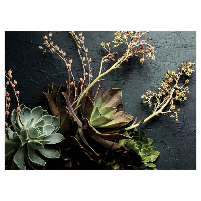 NATURAL GREEN ALOE BUSH WITH LEAVES TEA TRAY