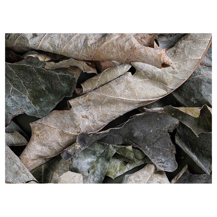 MONOCHROMATIC GREY GREEN LEAVES TEA TRAY