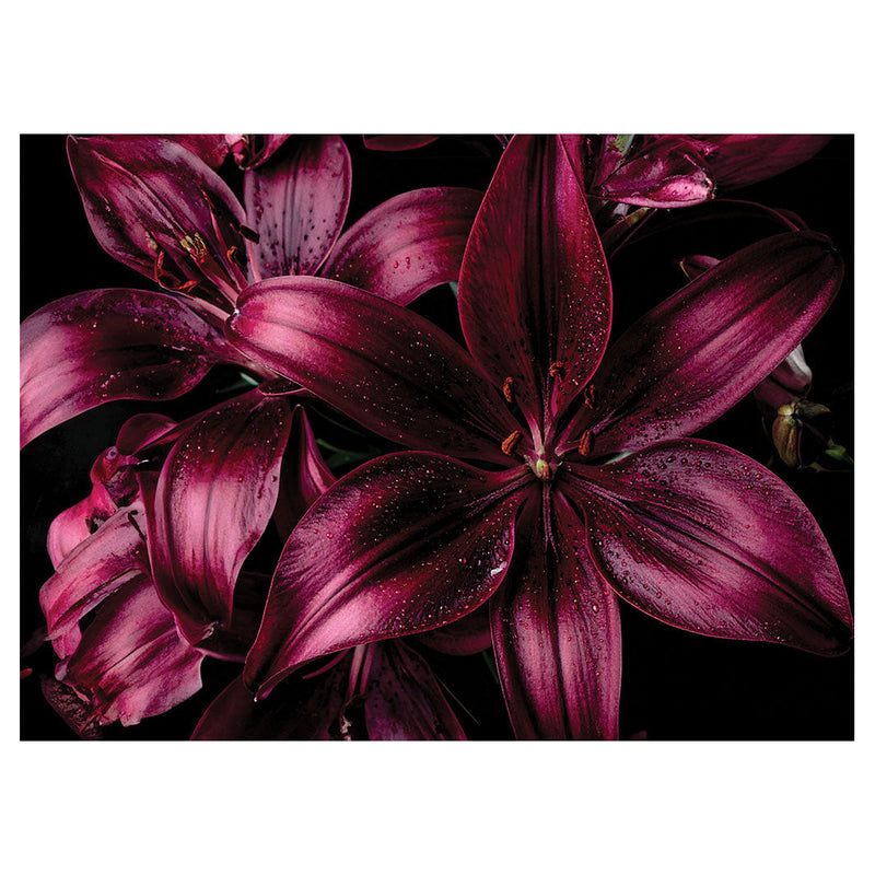 MAGENTA LILY TEA TRAY
