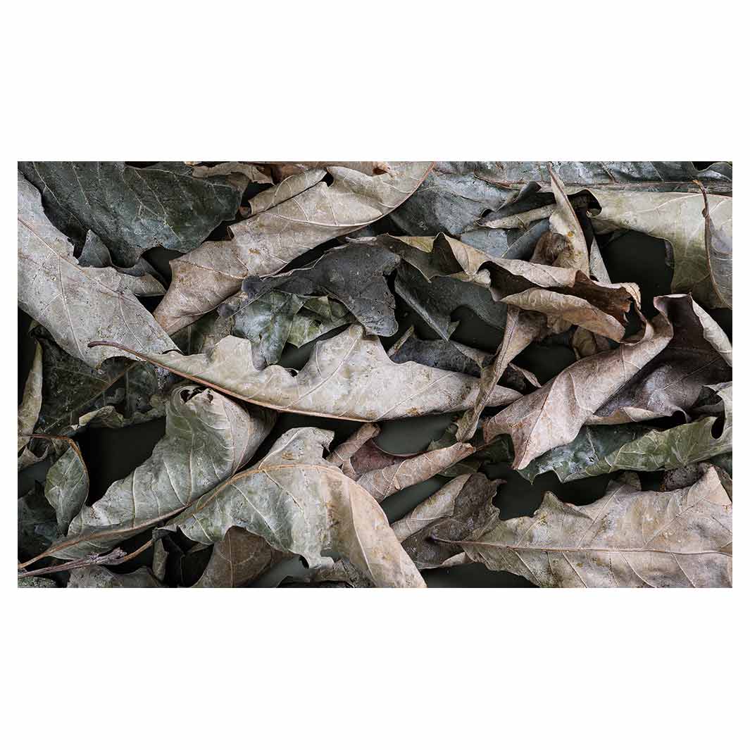 MONOCHROMATIC GREY GREEN LEAVES MULTI-PURPOSE MAT