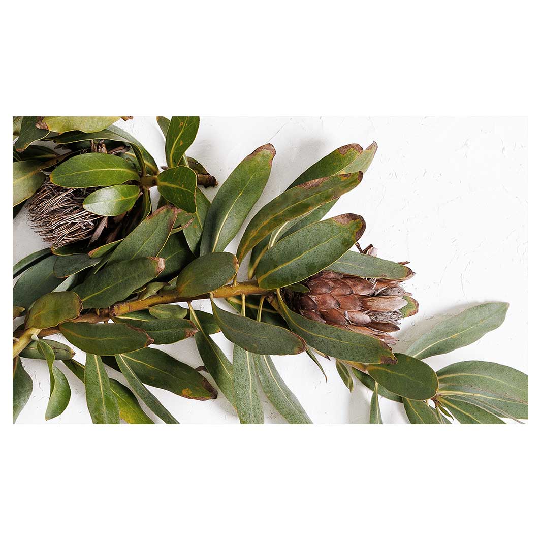 DRIED PROTEA WITH GREEN LEAVES MULTI-PURPOSE MAT