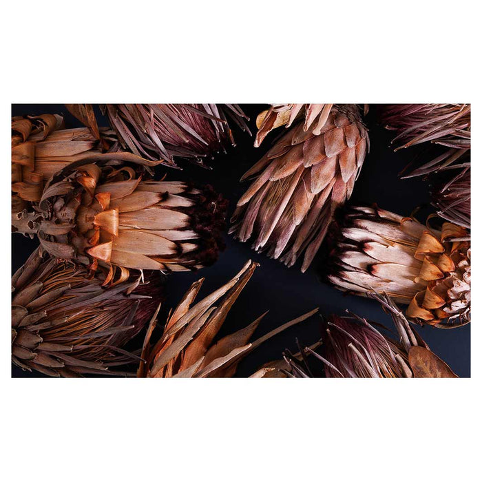 GOLDEN BROWNS PROTEAS MULTI-PURPOSE MAT