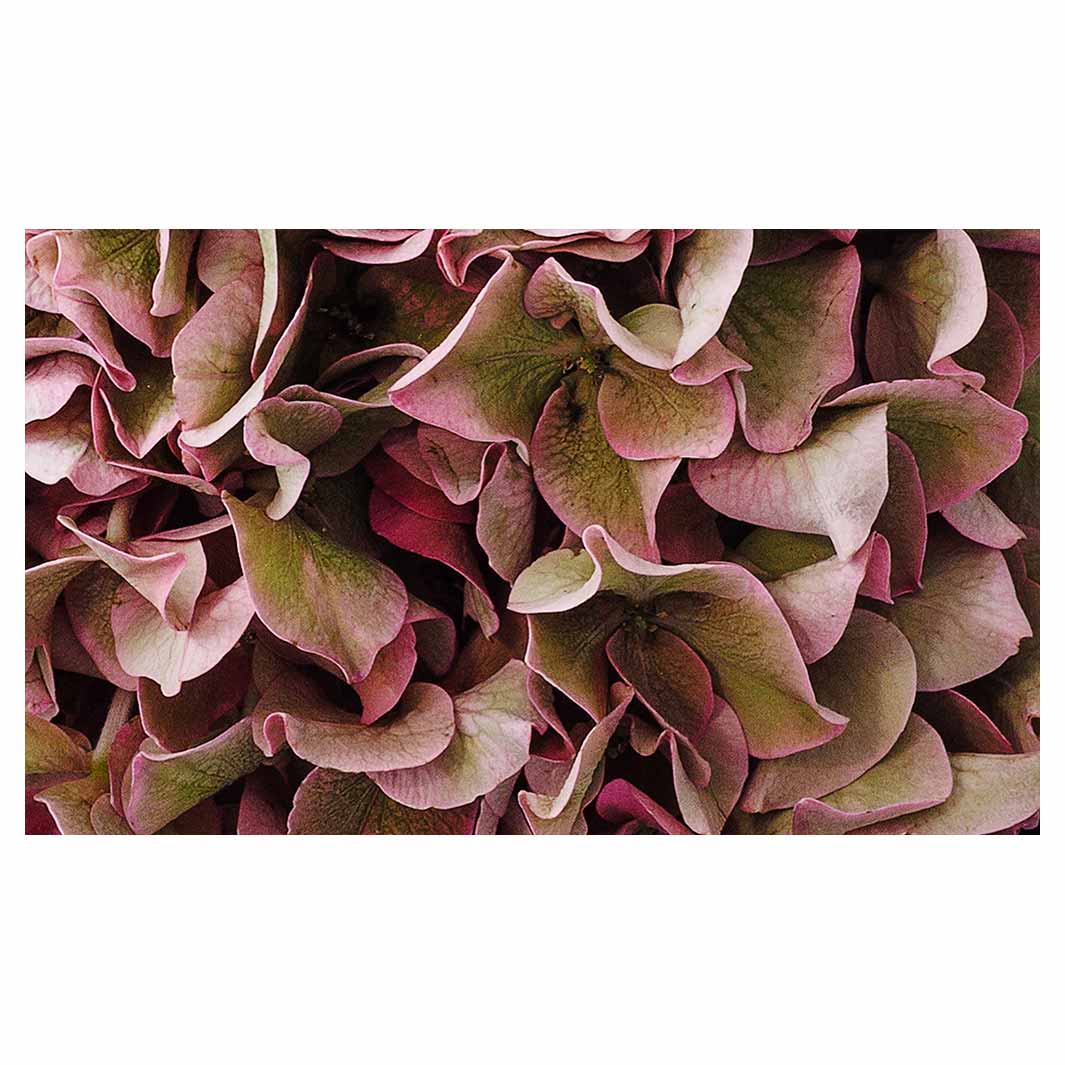 HYDRANGEA DEEP FLORAL TONES MULTI-PURPOSE MAT