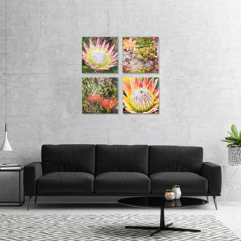 PLEXIGLASS 4 PIECE
