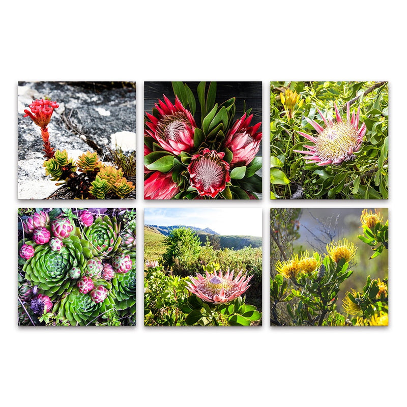 PLEXIGLASS 6 PIECE