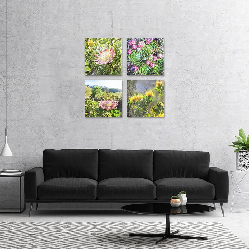 PLEXIGLASS 4 PIECE