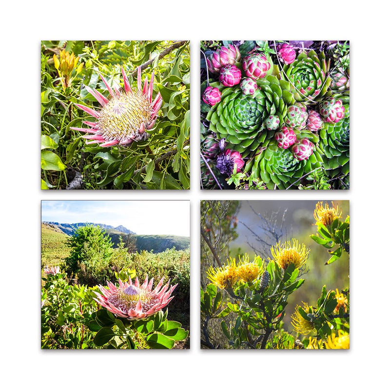 PLEXIGLASS 4 PIECE
