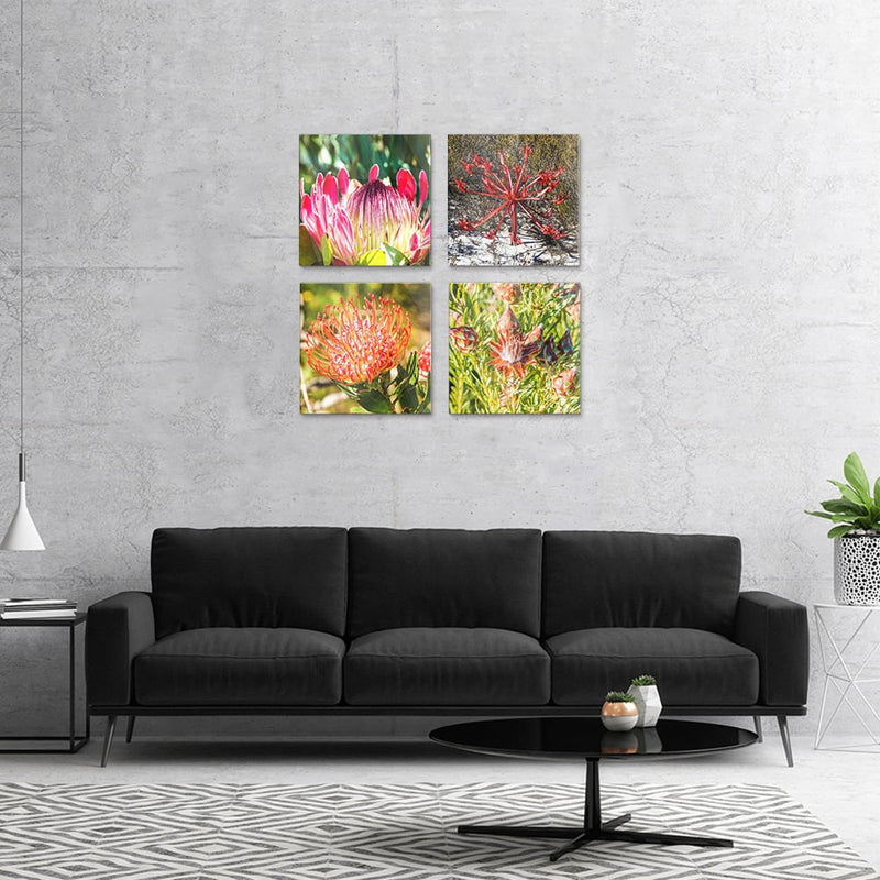 PLEXIGLASS 4 PIECE