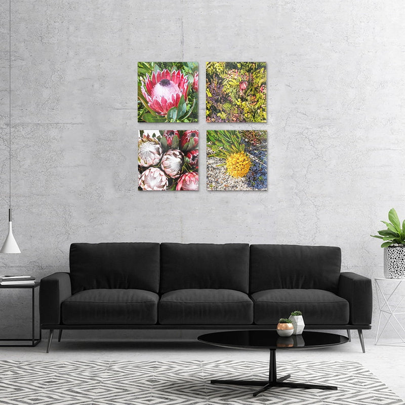 PLEXIGLASS 4 PIECE