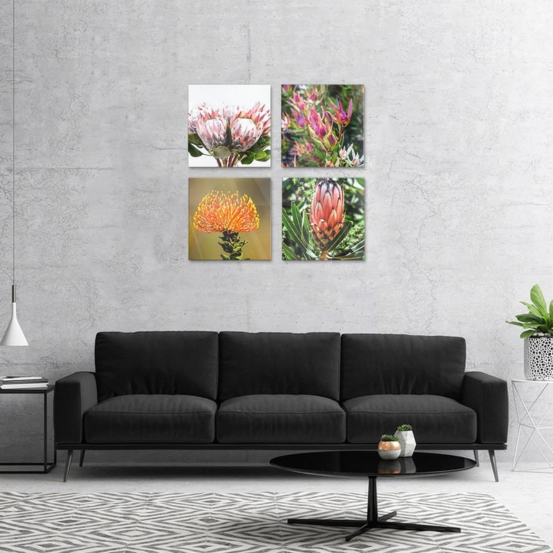 PLEXIGLASS 4 PIECE