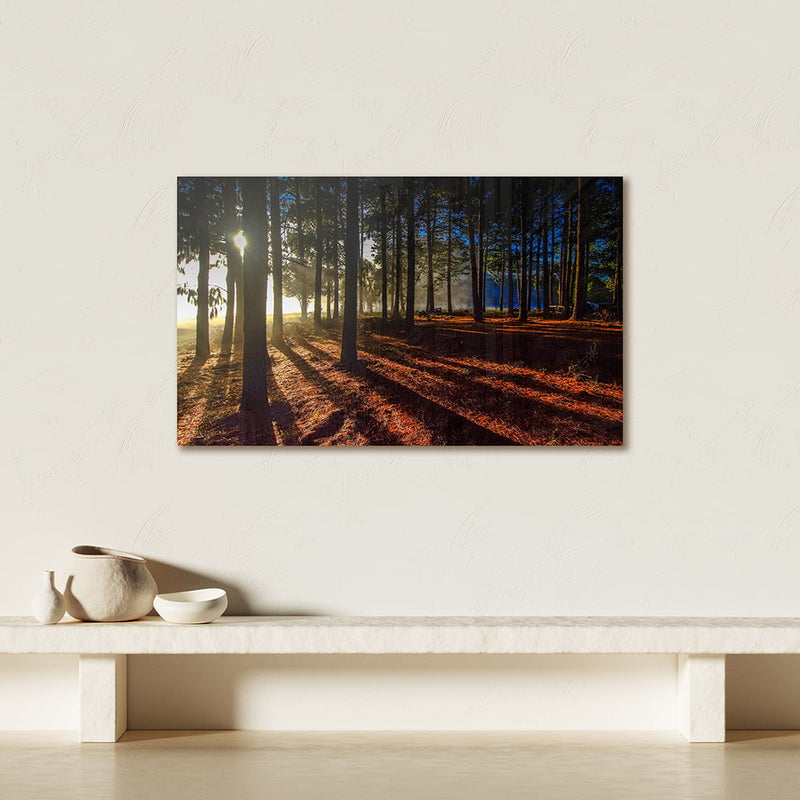 FOREST LANDSCAPE PLEXIGLASS