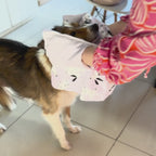 MICROFIBER PET TOWEL COLOURFUL DOGS