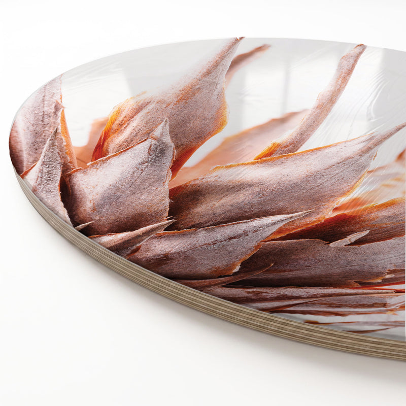 DRIED PINK KING PROTEA ROUND SERVING BOARD