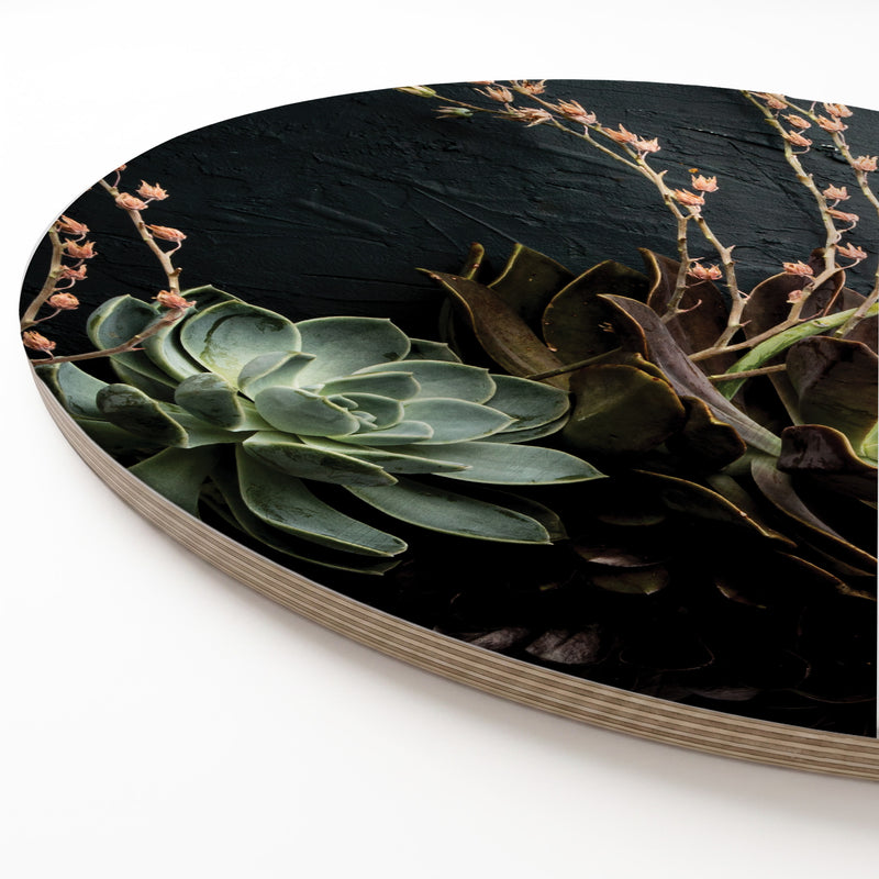 A round wooden serving board featuring a close-up photograph of succulent plants on a dark, textured background, set at an angle against a white studio backdrop.