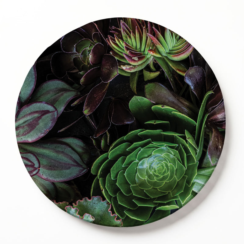 A round printed serving board featuring a printed photograph of various green and dark purple succulent plants, shown against a plain white background.