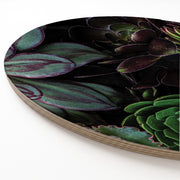 A close-up of a round wooden serving board printed with a detailed succulent and aloe plant pattern, showing the layered wood grain edge on a white background.