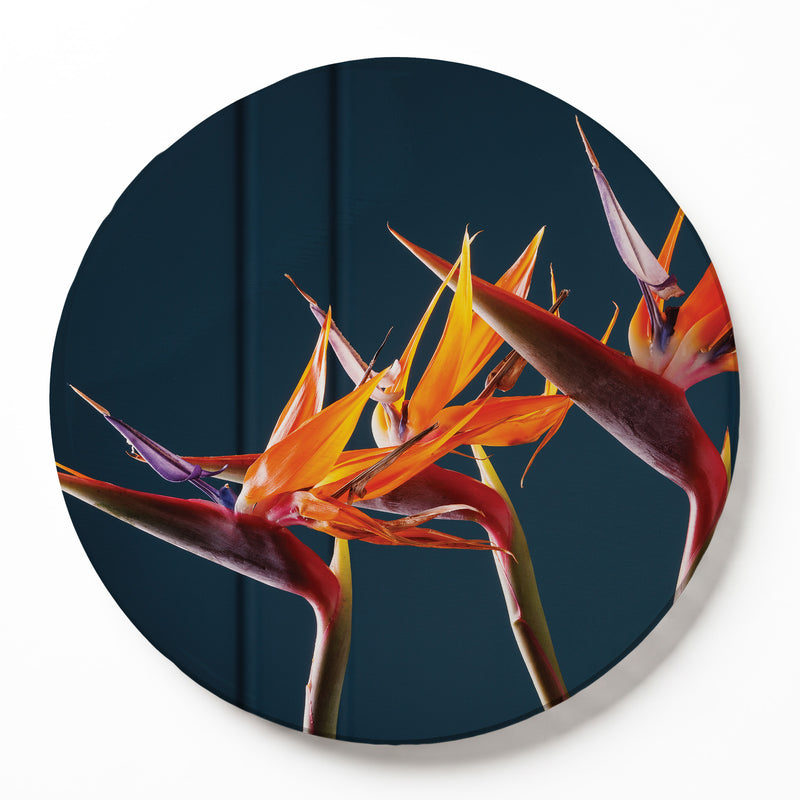 STRELITZIA TRIO ON RICH BLUE ROUND SERVING BOARD