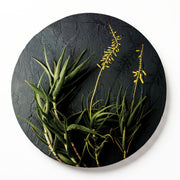 A round wooden serving board featuring a photographic print of green aloe vera plants with yellow flower spikes, shown against a plain white background.