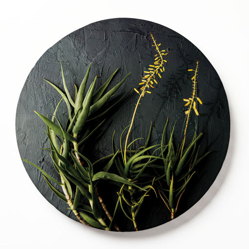 A round wooden serving board featuring a photographic print of green aloe vera plants with yellow flower spikes, shown against a plain white background.
