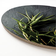 A round printed wooden serving board with a textured surface, shown on a white background with green aloe vera leaves print.