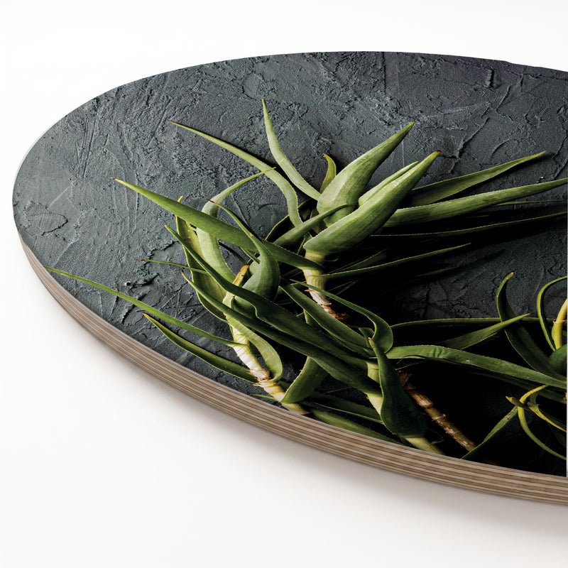 A round printed wooden serving board with a textured surface, shown on a white background with green aloe vera leaves print.