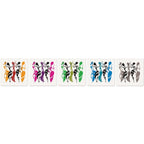 Birch Block 5 pce collage TRADITIONAL-LADIES