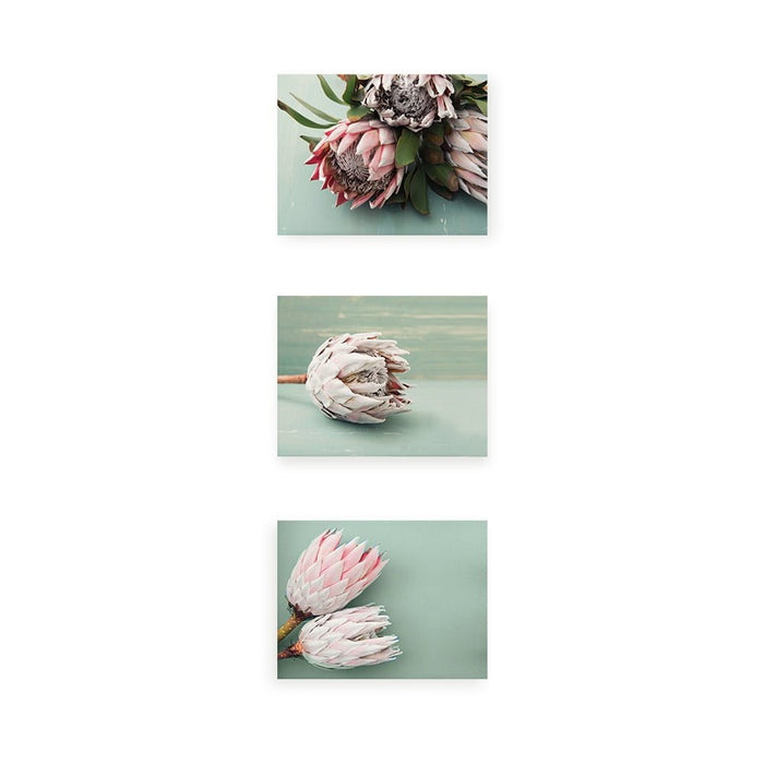 Birch Block 3 pce collage Pink Protea on Mint Green