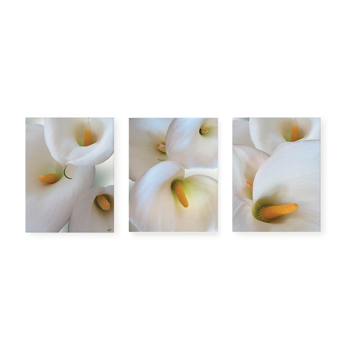 Birch Block 3 pce Collage Arum Lilies