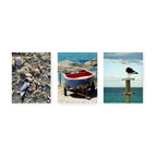 Birch Block 3 pce Collage Seascape