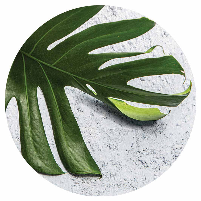 LEAVES GREEN MONSTERA LEAF ROUND COASTER