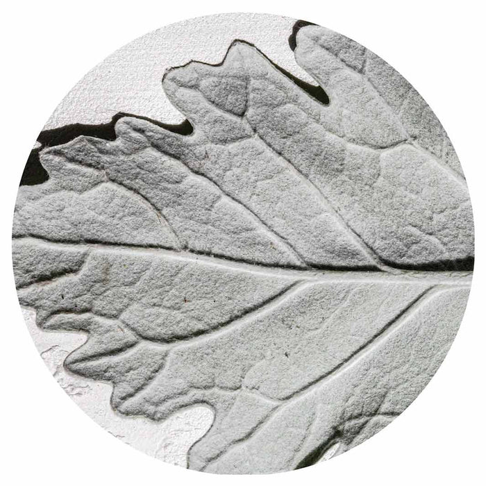 LEAVES GREY MONOCHROME LEAF ROUND COASTER