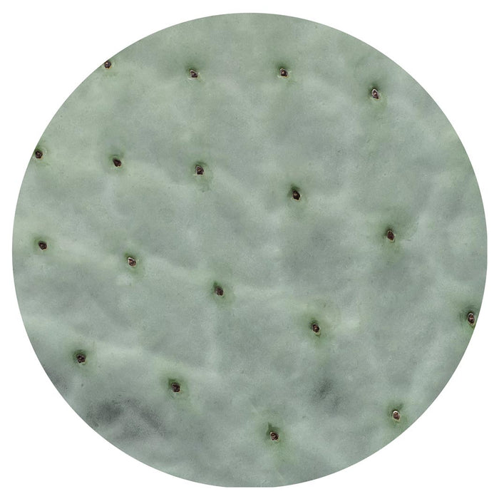 NATURAL GREEN PRICKLY PEAR LEAF ROUND COASTER