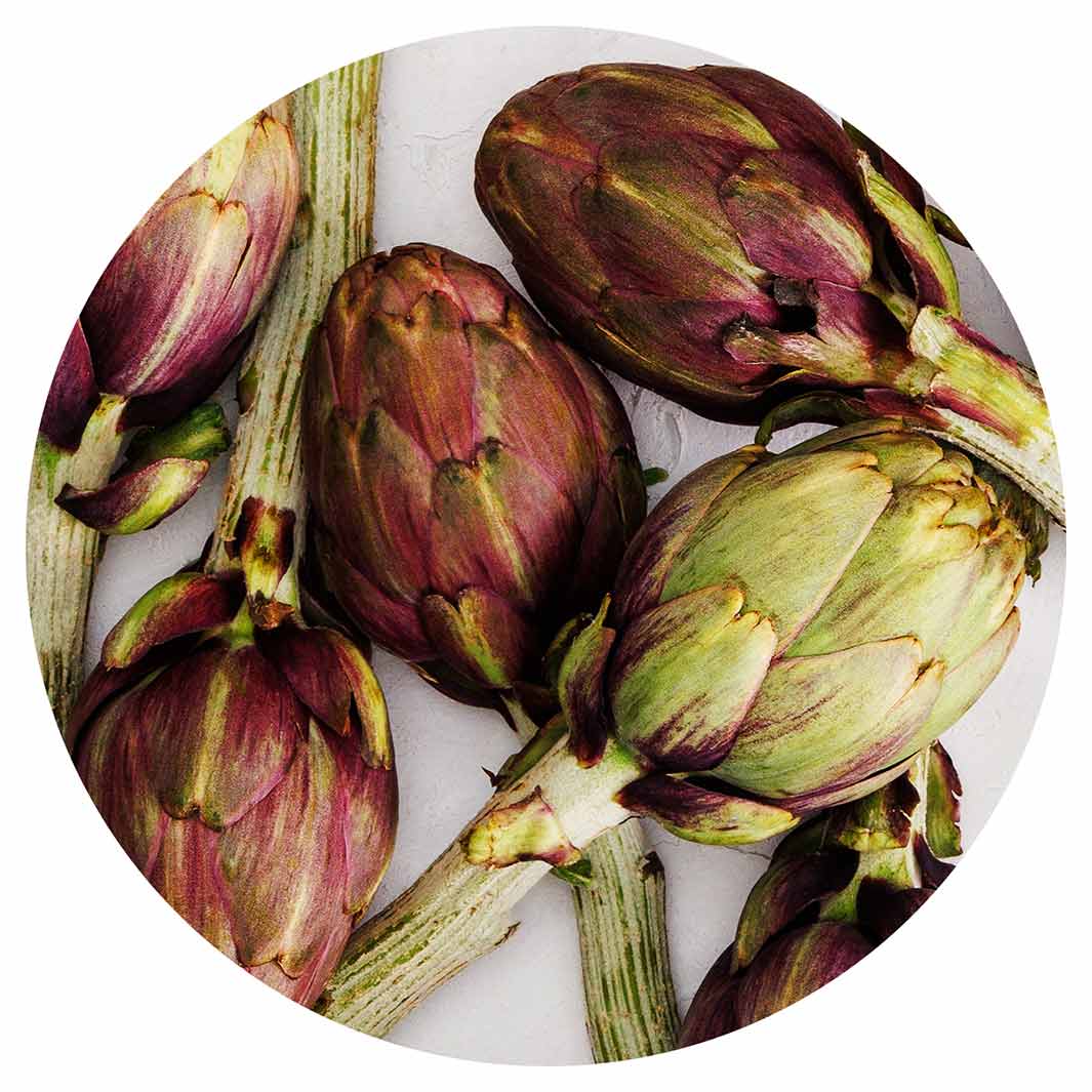 ARTICHOKE DEEP GREEN AND PURPLE ON WHITE ROUND COASTER