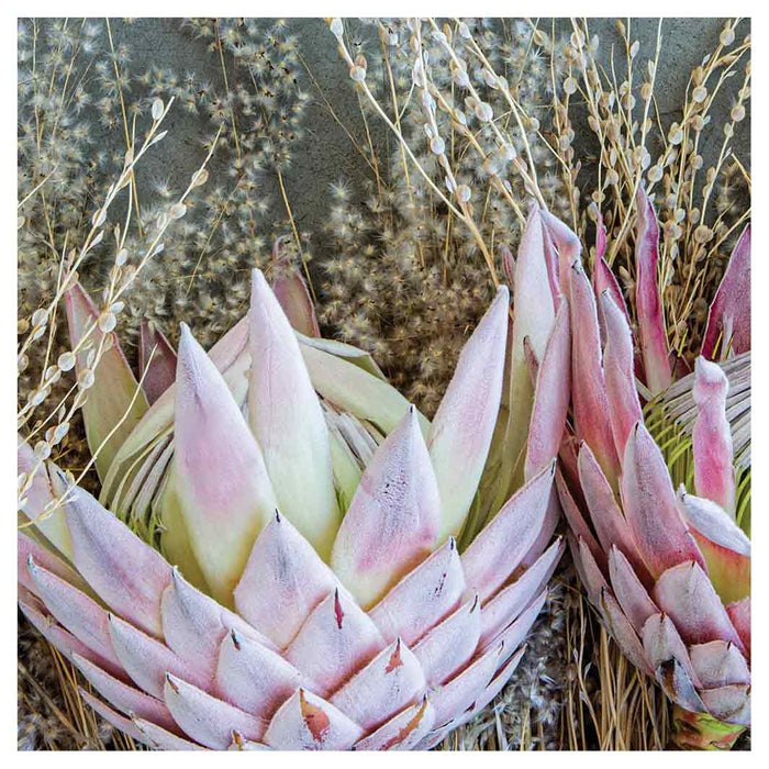 FLORAL DEEP PINK KING PROTEA SQUARE COASTER