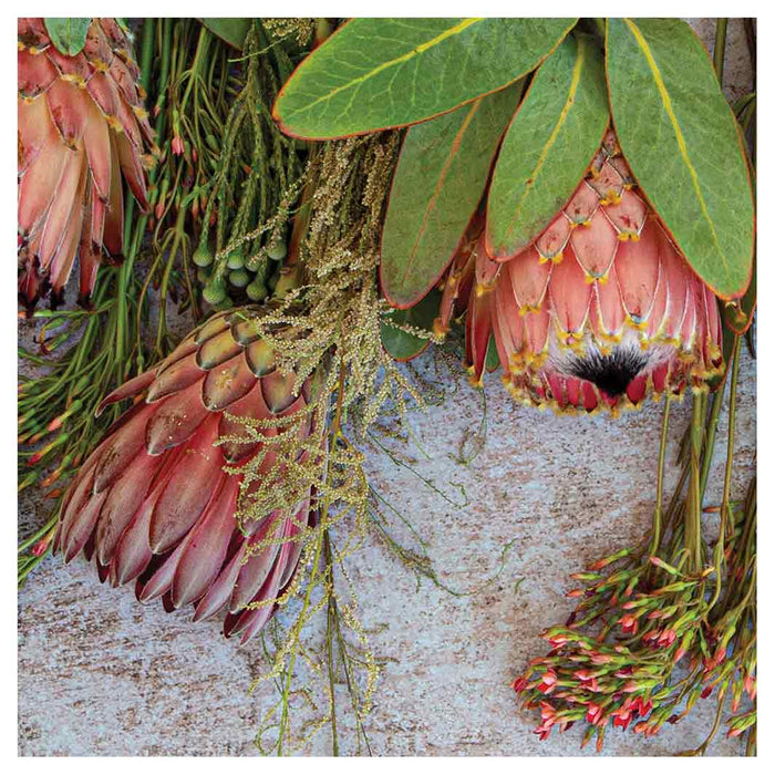 FLORAL PINK MIXED PROTEAS WITH GREEN FOLIAGE SQUARE COASTER