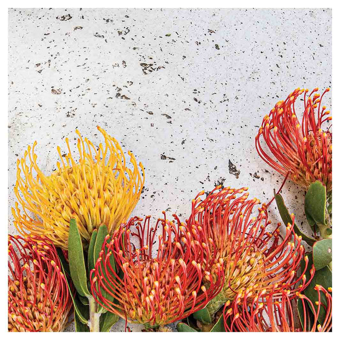 FLORAL ORANGE PIN CUSHIONS ON WHITE SQUARE COASTER