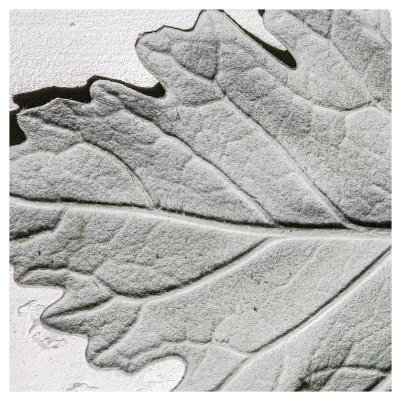 LEAVES GREY MONOCHROME LEAF SQUARE COASTER