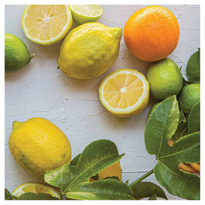 NATURAL YELLOW AND ORANGE CITRUS ON WHITE SQUARE COASTER