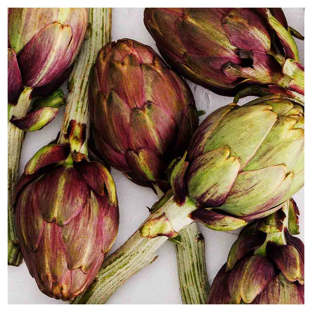 ARTICHOKE DEEP GREEN AND PURPLE ON WHITE SQUARE COASTER