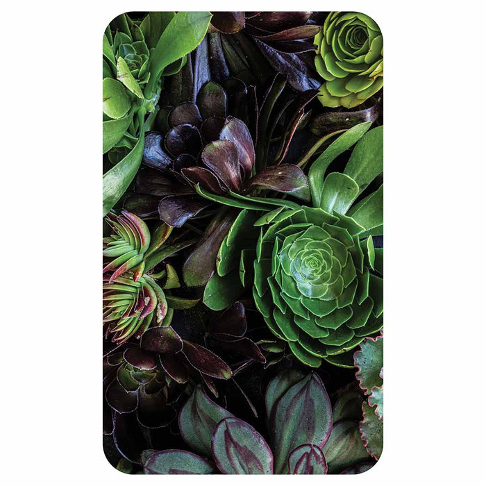 NATURAL GREEN AND PURPLE ALOE GARDEN KITCHEN TOWEL