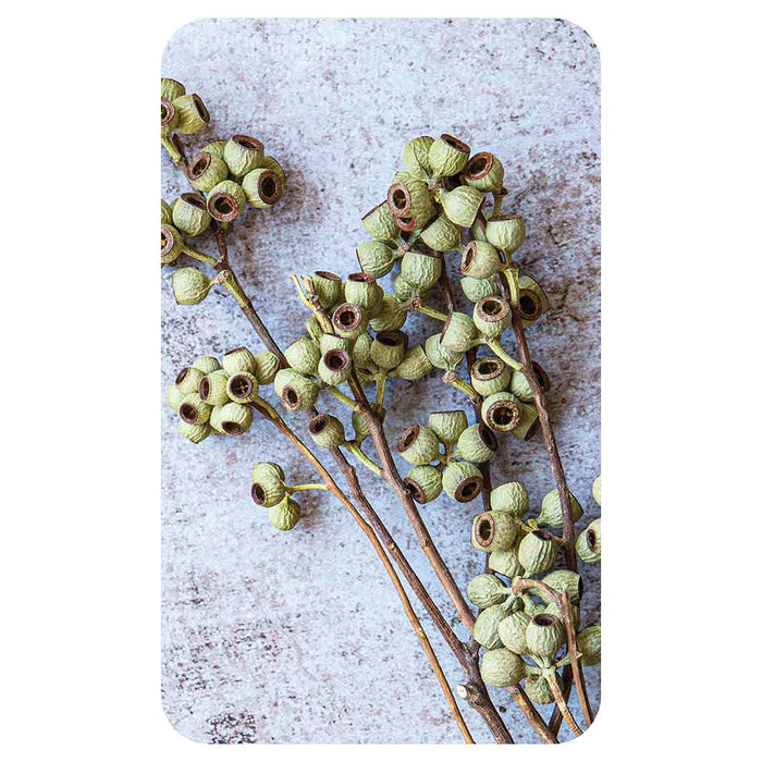 NATURAL GREEN NATURAL AMBERNUTS KITCHEN TOWEL