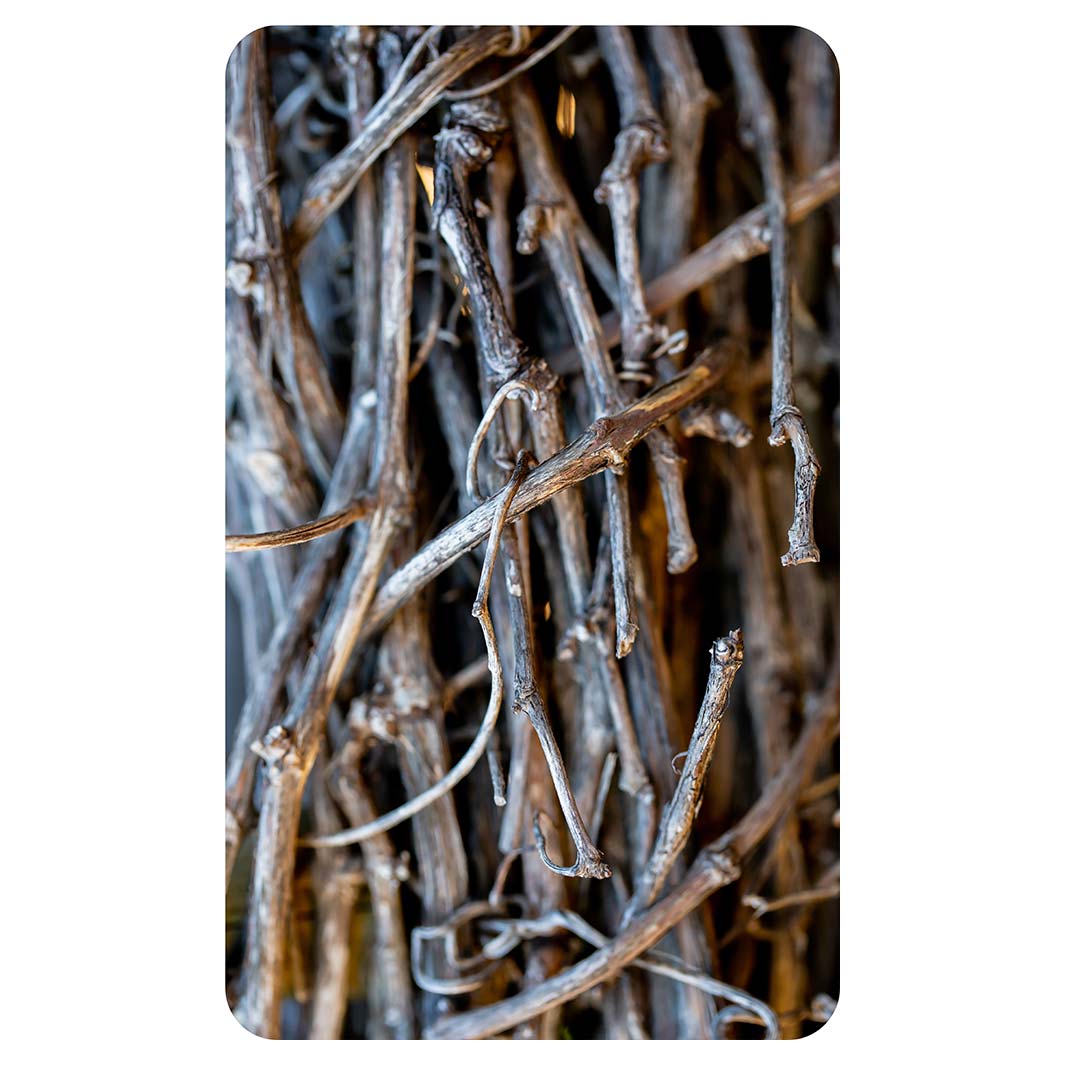 WOOD STICKS KITCHEN TOWEL